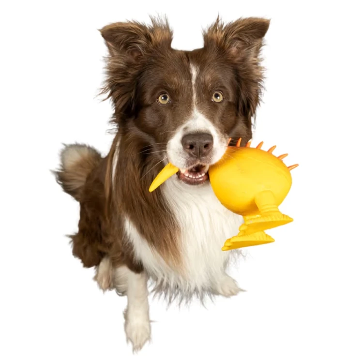whistle_figure_yelow-03.jpg