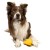 whistle_figure_yelow-04.jpg