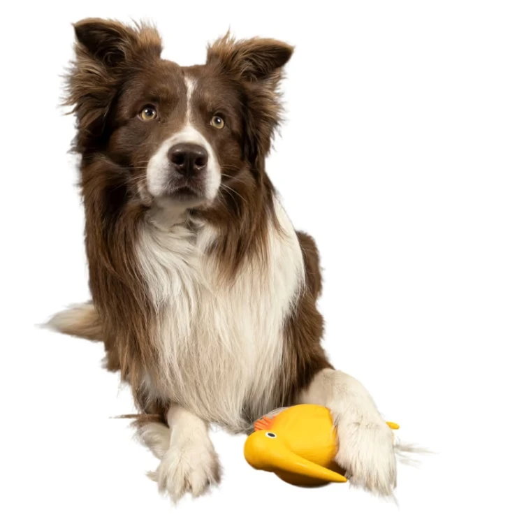 whistle_figure_yelow-04.jpg