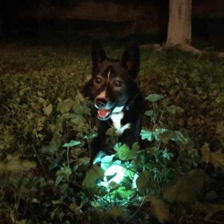 Max-Glow-04.jpg