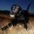 Max-Glow-03.jpg