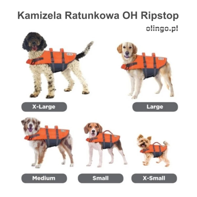 OH_rozmiary_olingo.jpg