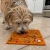 Zobnie orange_06.webp