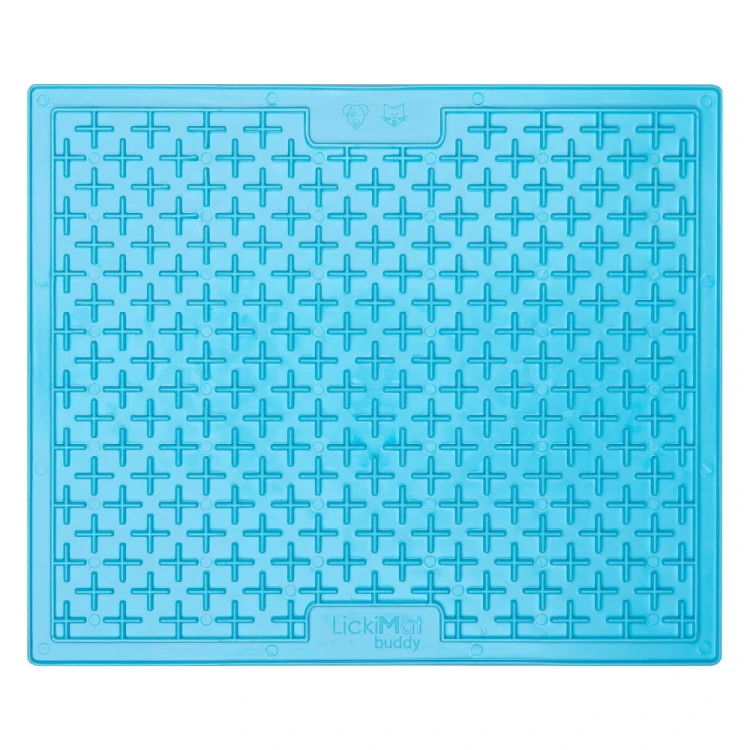lm-buddy-large-turquoise2.jpg