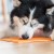 lickimat-large-dog.jpg