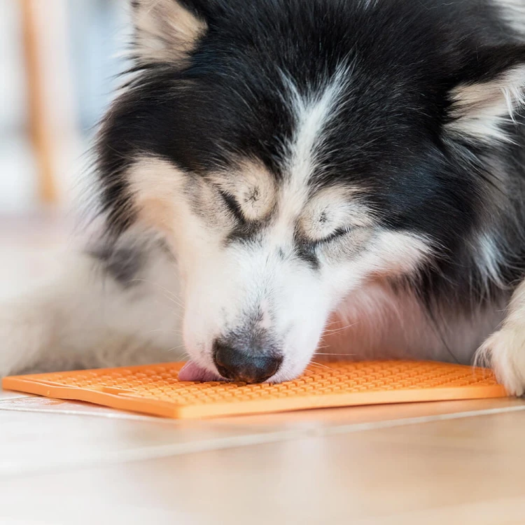 lickimat-large-dog.jpg