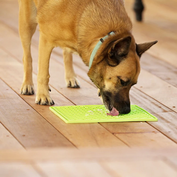 lickimat-large-dog2.jpg