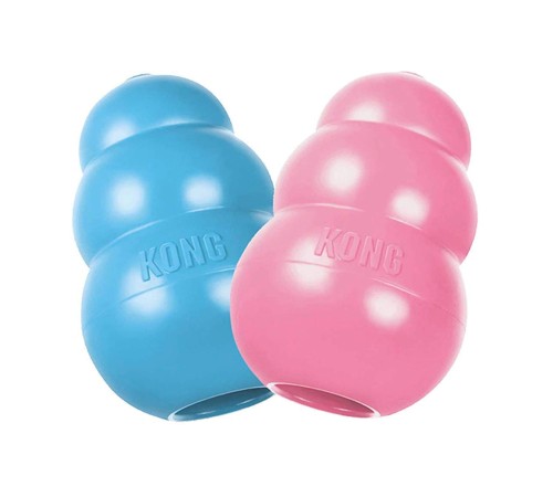 KONG puppy M.jpg
