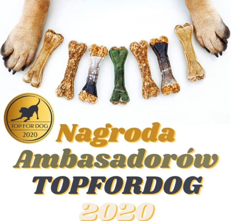 OLINGO-nagroda-TOPFORDOG.jpg