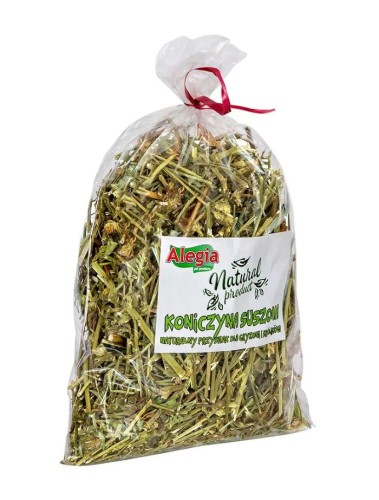 40e40a6f83e95f52a7c5c49de0e00ee4