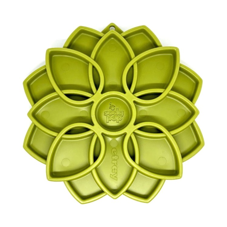 02-OLINGO-SodaPup-Mandala-zielona.jpg