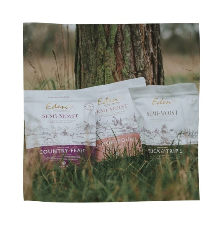 1e873a24d514fcd8c79b71a5c99f02eb