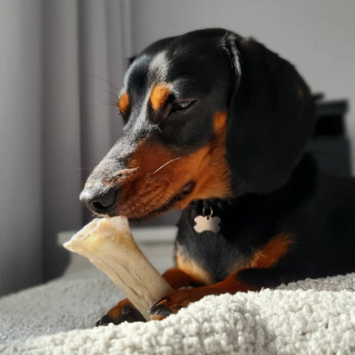 9198fbb2e278b4cb9d75fba9ea1492f3