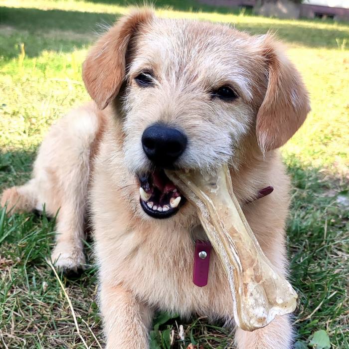 7fdabc7145b25783d772c71ef58384cf