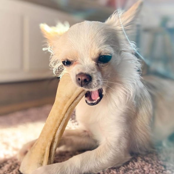 4c6fdfabe66f1314926a2eef104bb1db