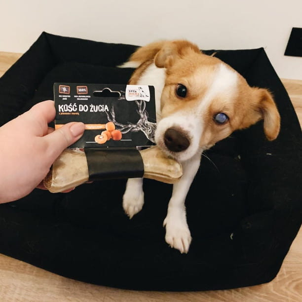 d617176e7ed01310a93abbf991c9f166