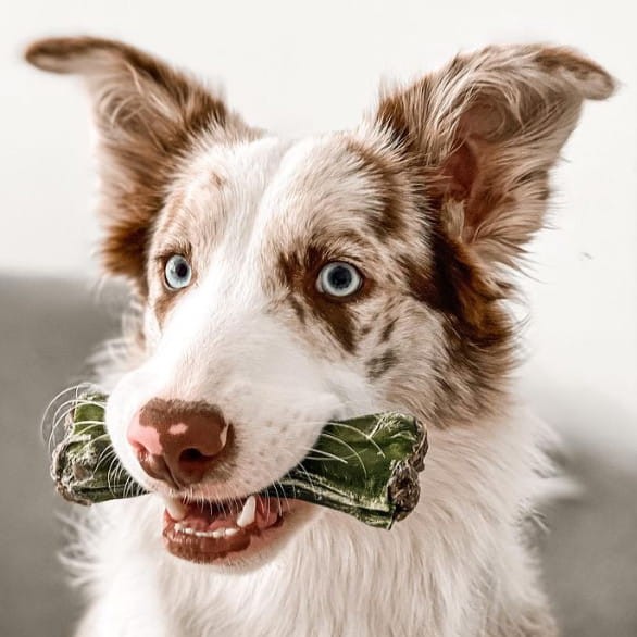 7943f64f1d8785a518bf107994567c89