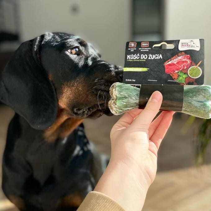 190042cb87374189a7622b2208d4f572