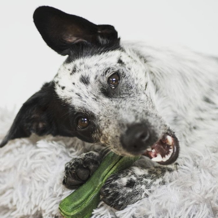 9007046385510e99c8e5892393b893eb