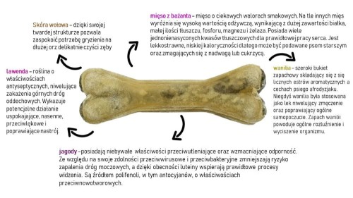 e3381cb73fdab028f50c7d2f41ce8c93