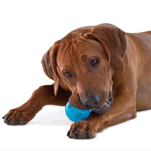 Orka Ball -03.jpg