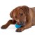 Orka Ball -03.jpg