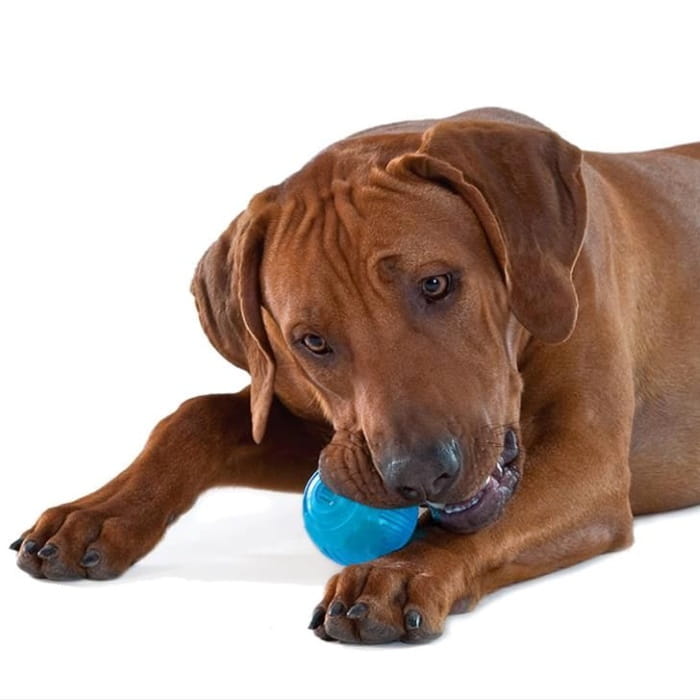 Orka Ball -03.jpg