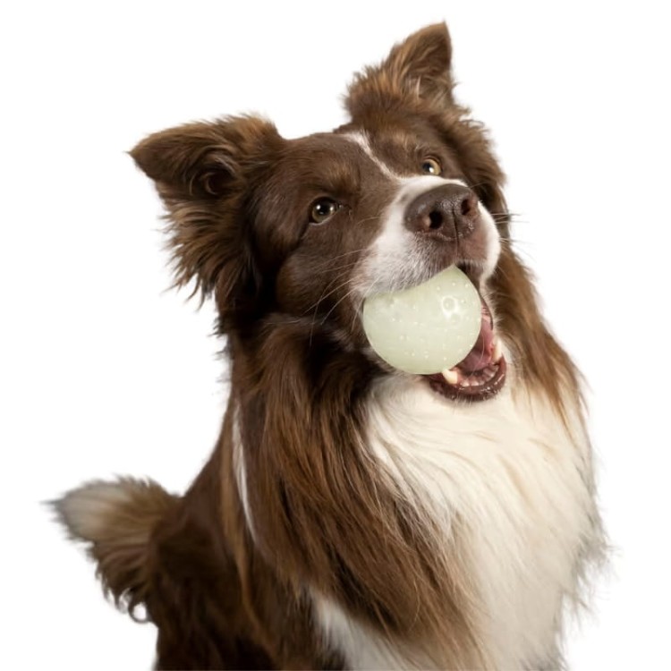 Kiwi Walker GLOW BALL -03.jpg