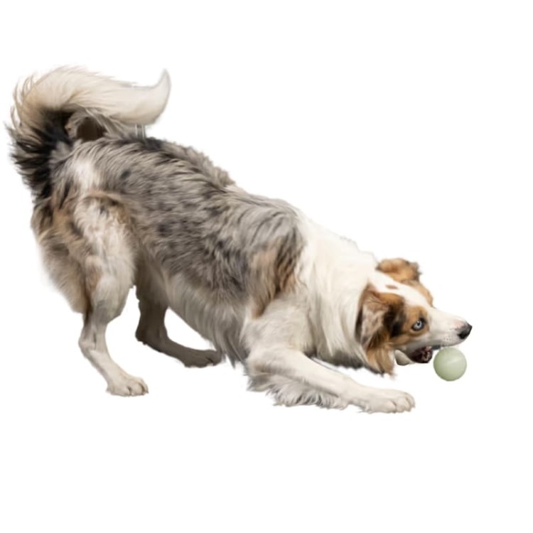 Kiwi Walker GLOW BALL -04.jpg