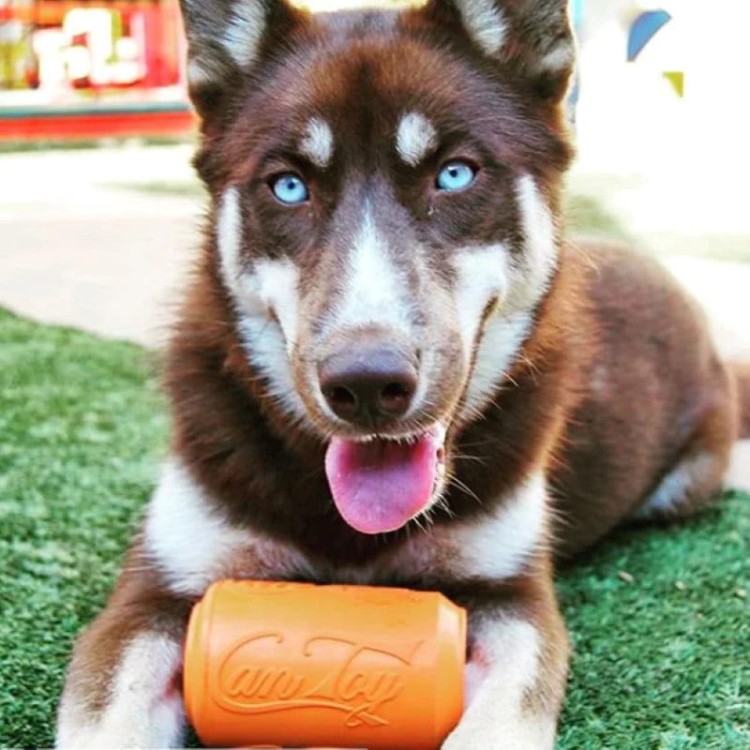 dd749e1c5634c973bdb093b01349a7c8