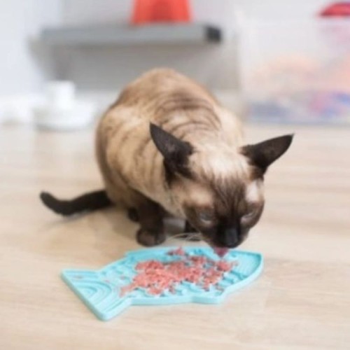LickiMat-felix-turquoise-04.jpg