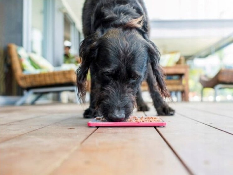 Soother-TUFF -07.jpg