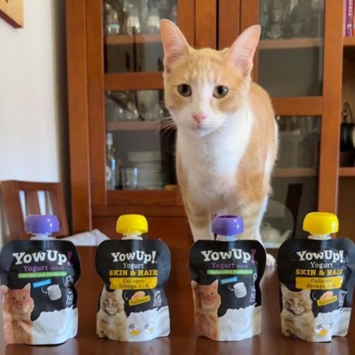 7f8bb913c467dce9667d6437210b1d2e