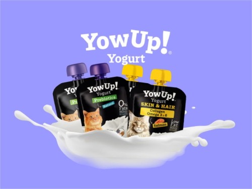 YOW UP CAT zestaw.jpg
