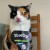 Yow-Up-Cat-05.jpg