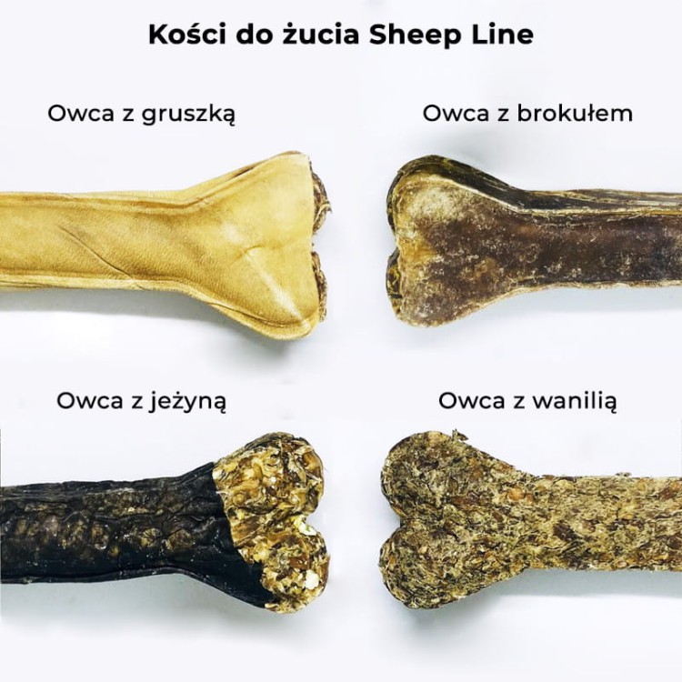 1f9d77e1a604870a01fa797b463d2a20