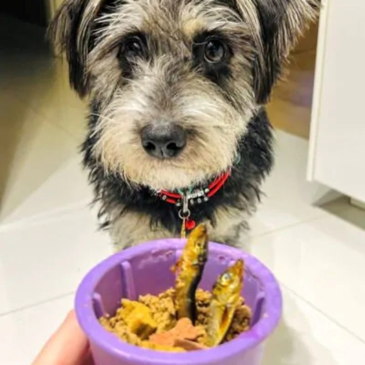 acbf839c2aacea99a2dcf175fc6f2a3d