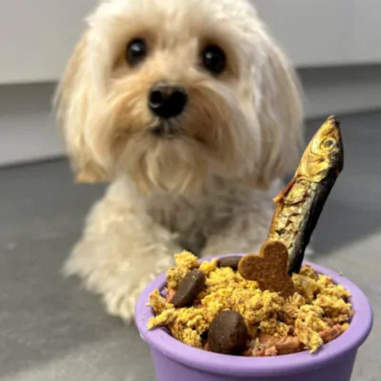 c17b410d74507e4e48025c46d43316ce