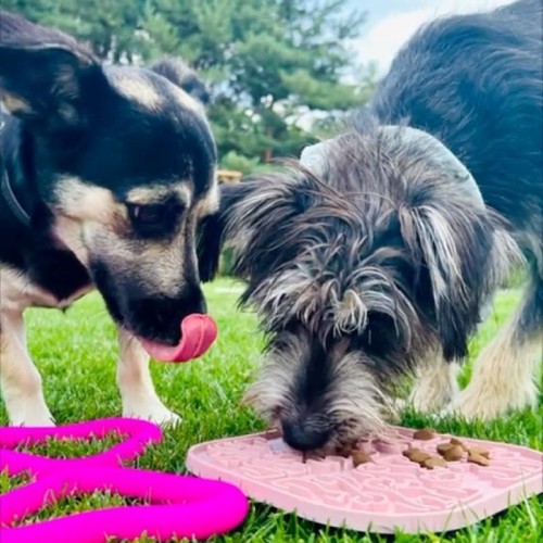 64b8e4733803a262fe1f6f9693e3519f