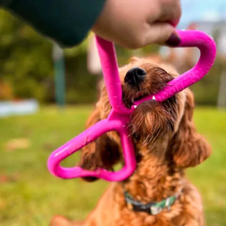 1ae4aa48f93437db25e61b800bf20fbf