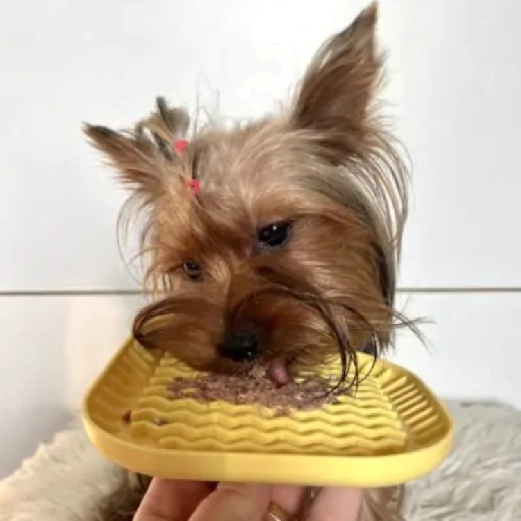 e5dd36f497f1928dd101a3f552834c72