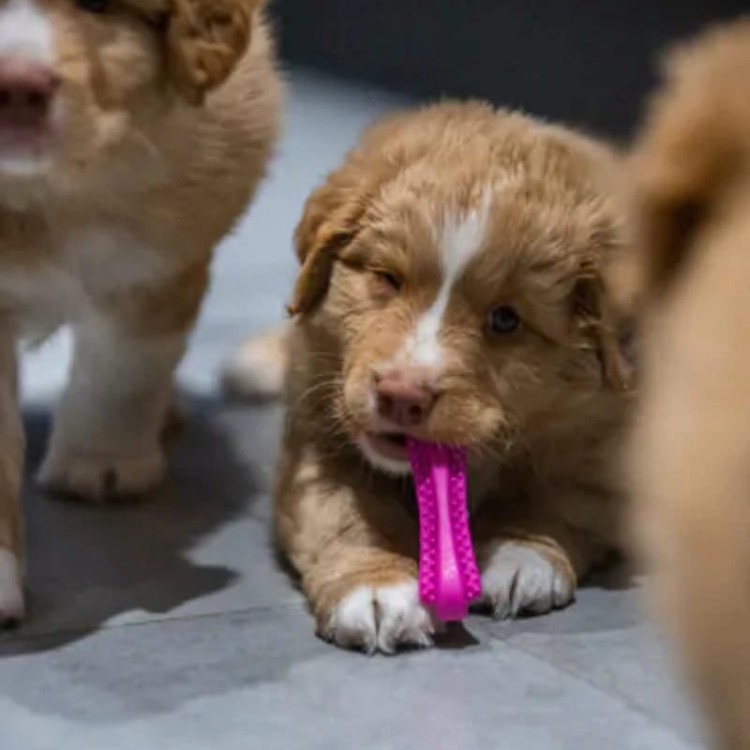 57253889b6e0c55476bf44e37d3347e6