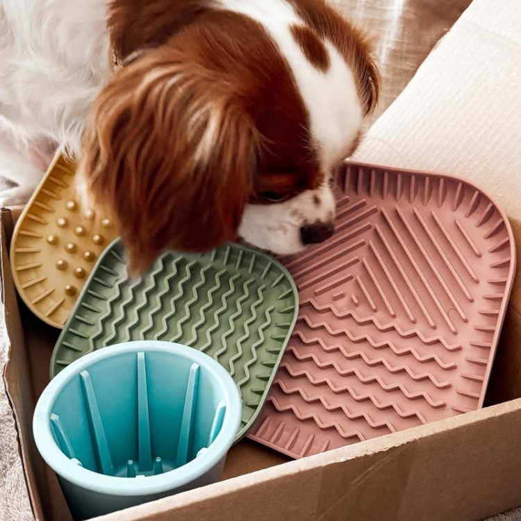 a6152e1fac68d2428ae8642d893190ef