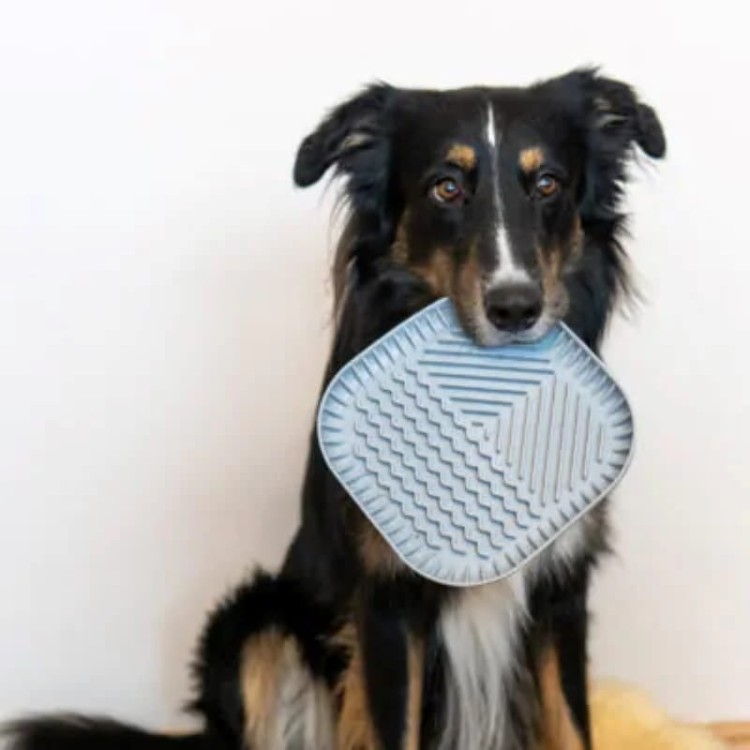 371415485ce32f018f393fc684ad8068