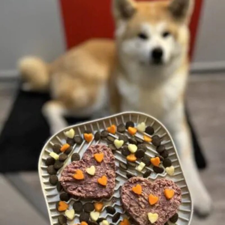 fd658c3769225600e5322f92d6f9d0e1