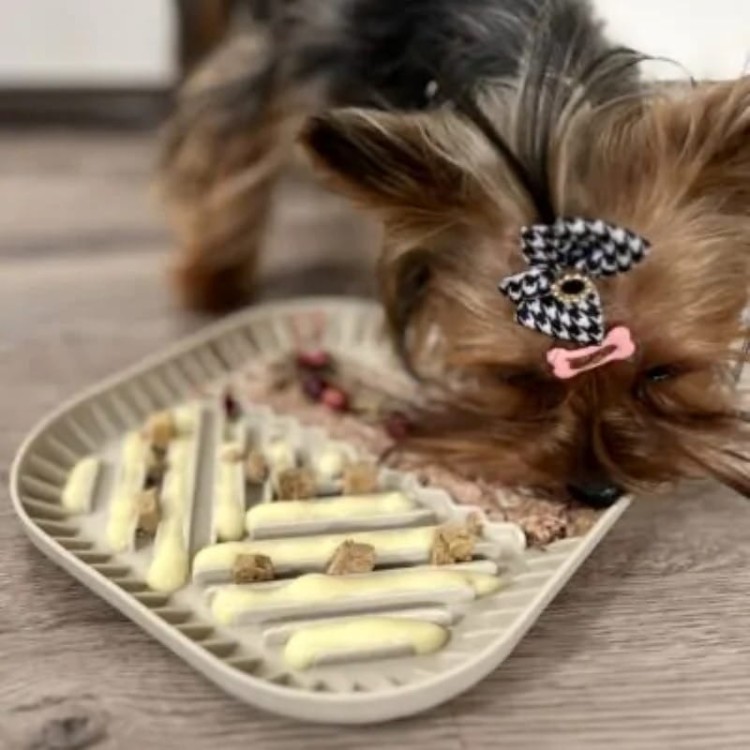 123c2ee375d96b79430b3426100c13f8