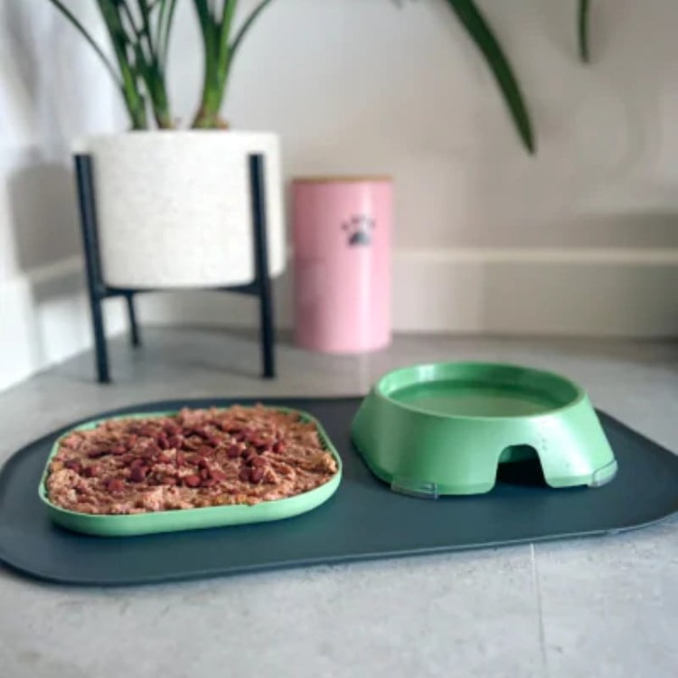 5800ec442ef485f4be770bb7d4850308