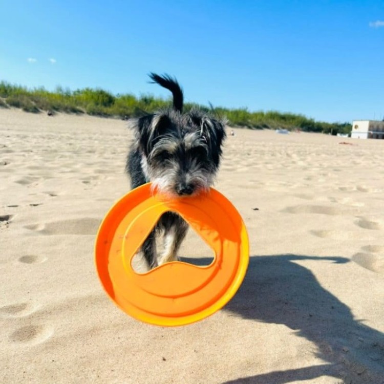 c34468d12f869b275f9dbced5c9922e3