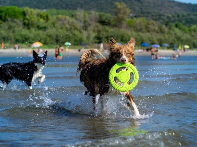 4f734f0cd6768b74d6993db89e9b7f28