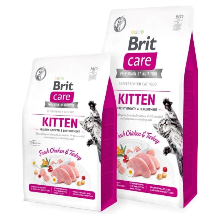 03-OLINGO-Brit-Care-Cat-KITTEN.jpg